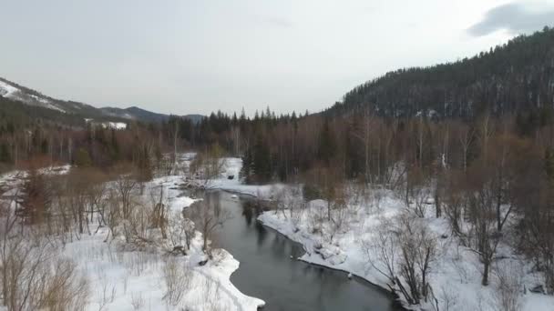Dech Beroucí Pohled Zasněženou Sibiřskou Řeku Obklopenou Poli Lesy Horami — Stock video
