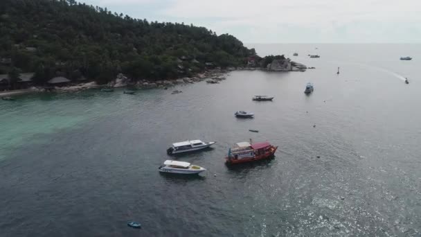 Experience Beauty Koh Tao Tropical Beach Diving Snorkeling Immerse Yourself — Stock Video