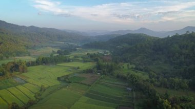 Tayland çarpıcı Doi Inthanon Ulusal Parkı 'nda yemyeşil ormanlar, şelaleler ve nefes kesici hava manzaralı canlı tropikal vadiler sergilenmektedir..