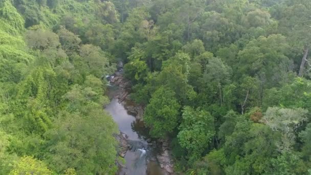 Беспилотник Захватывает Потрясающий Вид Пышные Джунгли Реки Таиланде Куд Koh — стоковое видео