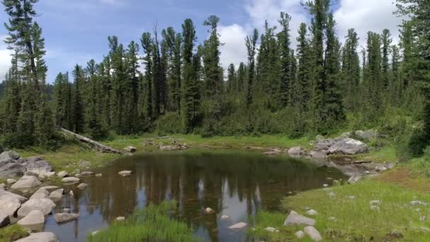 Letecké Záběry Ohromujícího Sibiřského Lesního Jezera Krásnou Scenérií Epickými Mraky — Stock video