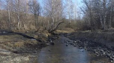 İnsansız hava aracı, akan nehirle büyüleyici Sibirya ilkbahar manzarasını yakalar. Canlı renkler ve dingin doğa büyüleyici bir sahne yaratır..
