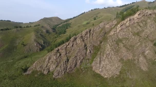 Sibirische Sommerziegen Streifen Durch Berge Bäume — Stockvideo