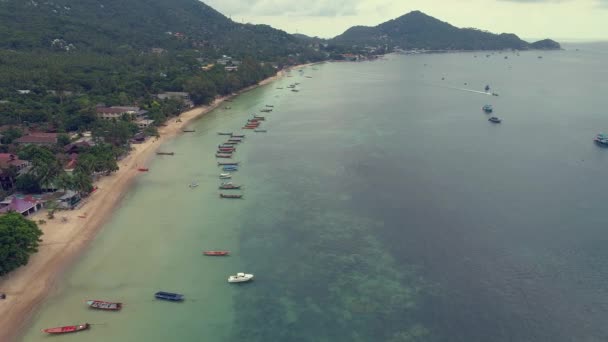 Impresionante Vista Arriba Hacia Abajo Del Colorido Puerto Koh Tao — Vídeo de stock