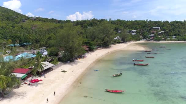 Poznaj Piękno Pha Ngan Oszałamiającej Wyspy Tajlandii Idealny Podróży Relaksu — Wideo stockowe
