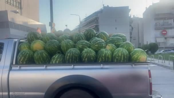 Wassermelonen Und Gelbe Melonen Sind Dicht Gepackt Offenen Kofferraum Eines — Stockvideo