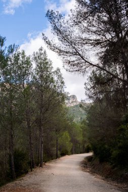 Toprak yürüyüş yolu, yemyeşil bir çam ormanında dönüyor. Arka planda kayalık bir tepe görünüyor. Parçalı bulutlu bir gökyüzünün altında.