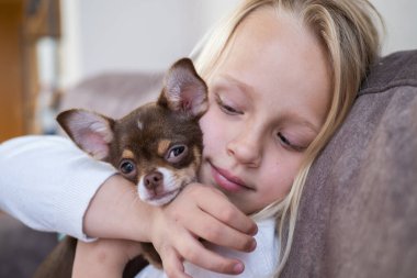 Kanepede küçük kahverengi beyaz bir Chihuahua 'yı kucaklayan sarı saçlı beyaz bir kız.