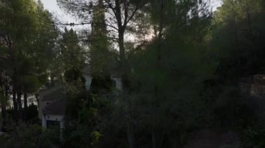 Ormandaki uzun yeşil ağaçların arasına kurulmuş bir ev. Güneş yaprakların arasından süzülüyor.