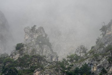 Puslu dağ manzarası engebeli tepeler, gri bulutlar seyrek bitki örtüsünü esrarengiz vahşi ortam ile örtüyor.