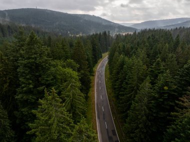 Almanya 'nın Kara Orman bölgesinde yoğun ve karanlık bir ormanın içinden geçen manzaralı bir rota dramatik ve gizemli bir atmosfer yaratıyor.