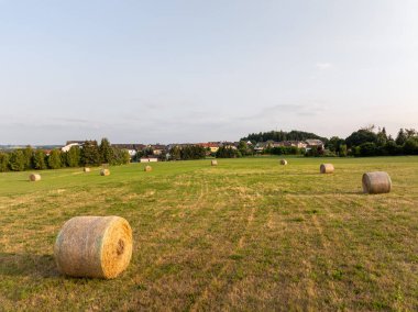 Saksonya, Almanya 'da Plauen kasabası yakınlarındaki bir tarlada kuruyan saman balyaları barışçıl bir kırsal alan oluşturuyor.