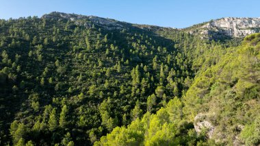İspanya 'nın Gandia kentindeki bir dağ yamacını kaplayan yoğun bir çam ormanının manzarası bölgenin doğal güzelliğini gözler önüne seriyor.