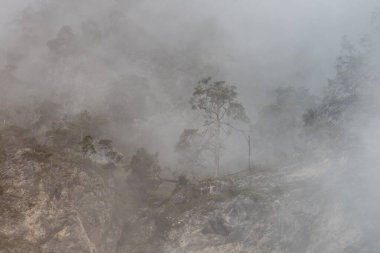 Puslu dağ yamaçları çam ormanlarının siluetlerini gözler önüne seriyor. Yoğun sis, engebeli araziyi dramatik vahşi doğayla örtüyor.