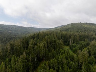 Almanya, Forbach 'ın yuvarlanan tepelerini bulutlu bir gökyüzünün altında kaplayan uçsuz bucaksız yeşil bir ormanın havadan görüntüsü.