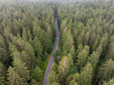 Almanya 'nın Kara Orman kentindeki sık ve yeşil bir ormanı kesen dolambaçlı bir yolun havadan görünüşü doğanın ve ulaşım altyapısının güzelliğini gözler önüne seriyor.