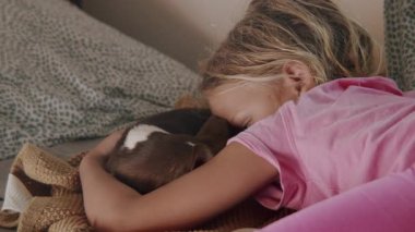 Genç kız sıcak atmosferde küçük kahverengi ve beyaz köpeğe sarılıyor.