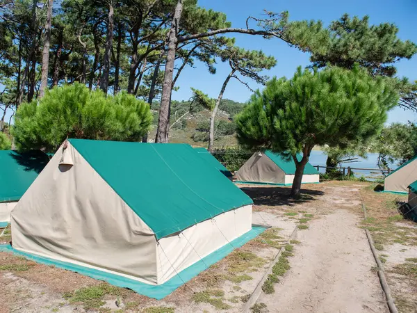 Tenten Camping Vroeg Ochtend Panoramisch Landschap Natuurgebied Met Grote Bomen — Stockfoto