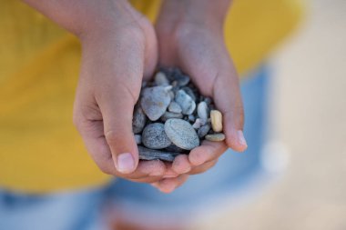 Küçük kumsal taşları çocuğun ellerinde