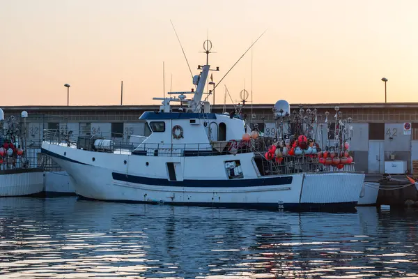 Roquetas de Mar, Almerya, Endülüs, İspanya 12 Eylül 2024: şafak vakti limanda tekneler