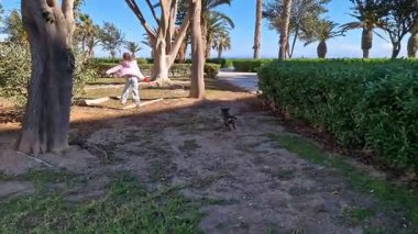 Ceketli bir kız Dachshund köpeğiyle yürüyor..