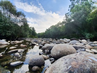 Ormandaki Dağ Nehri