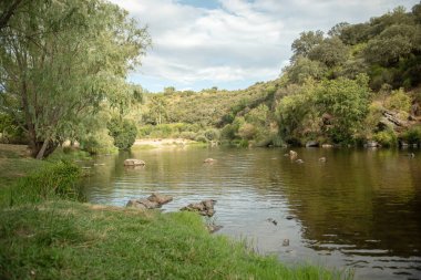 İsveç 'teki küçük bir gölden güzel bir göl manzarası, yemyeşil ağaçlar, mavi gökyüzü ve güneş ışığı.