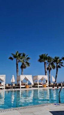 Almeria, Spain - July 08, 2025: Stunning swimming pool with palm trees and clear blue sky, creating a serene atmosphere for relaxation and leisure