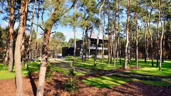 Villa Moderna Con Gran Patio Bosque Diseño Moderno Una Gran — Foto de Stock