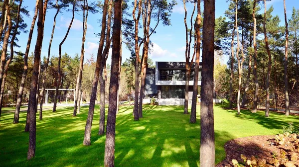 Modern Villa Large Patio Woods Modern Design Big Residence Middle — Stock Photo, Image