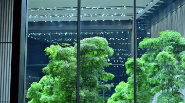 Şehir merkezinde akşam hayatı var. Bir ofis binasının lobisinin büyük pencereleri ve modern ofis binasının boş koridorları.