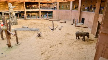 Lodz, Poland. 16 February 2023. Orientarium Zoo Lodz. Elephant paddock in Orientarium Zoo.