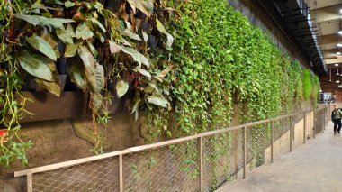 Lodz, Poland. 16 February 2023. Orientarium Zoo Lodz. Modern interior of Orientarium Zoo with inner  paddock.