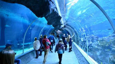 Lodz, Poland. 16 February 2023. Orientarium Zoo Lodz. Group of tourists visiting the aquarium. People in underwater tunnel aquarium. Ocean and coral reef.