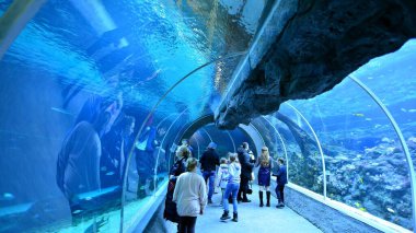 Lodz, Poland. 16 February 2023. Orientarium Zoo Lodz. Group of tourists visiting the aquarium. People in underwater tunnel aquarium. Ocean and coral reef.