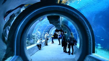 Lodz, Poland. 16 February 2023. Orientarium Zoo Lodz. Group of tourists visiting the aquarium. People in underwater tunnel aquarium. Ocean and coral reef.
