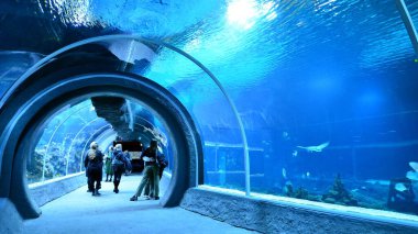 Lodz, Poland. 16 February 2023. Orientarium Zoo Lodz. Group of tourists visiting the aquarium. People in underwater tunnel aquarium. Ocean and coral reef.