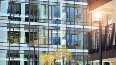 Yeşil ağaç ve cam ofis binası. Doğanın ve modernliğin ahengi. Taze yeşil ağaçlar ve ofis binası, iş konsepti. Modern şehir konseptinde yankı oluşturma.  