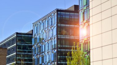 Yeşil ağaç ve cam ofis binası. Doğanın ve modernliğin ahengi. Taze yeşil ağaçlar ve ofis binası, iş konsepti. Modern şehir konseptinde yankı oluşturma.  