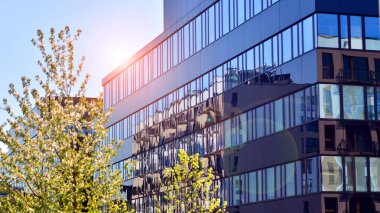 Yeşil ağaç ve cam ofis binası. Doğanın ve modernliğin ahengi. Taze yeşil ağaçlar ve ofis binası, iş konsepti. Modern şehir konseptinde yankı oluşturma.  