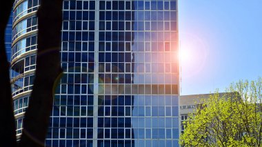 Modern şehir konseptinde eko gökdelen. Taze yeşil ağaçlar ve ofis binası, iş konsepti.