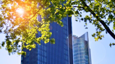 Modern şehir konseptinde eko gökdelen. Taze yeşil ağaçlar ve ofis binası, iş konsepti.