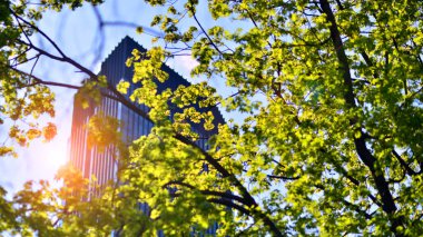 Modern şehir konseptinde eko gökdelen. Taze yeşil ağaçlar ve ofis binası, iş konsepti.