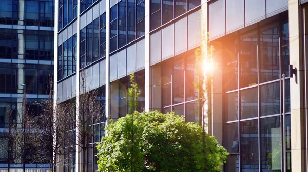 Green tree and glass office building. The harmony of nature and modernity. Fresh green trees and office building, business concept. Eco building in modern city concept.