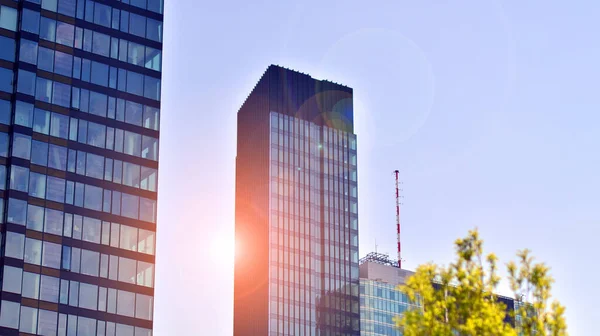 Eco Wolkenkrabber Modern Stadsconcept Verse Groene Bomen Kantoorgebouw Bedrijfsconcept — Stockfoto