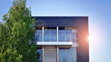 Yeşil ağaç ve cam ofis binası. Doğanın ve modernliğin ahengi. Taze yeşil ağaçlar ve ofis binası, iş konsepti. Modern şehir konseptinde yankı oluşturma.  