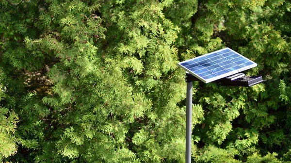 Işıklandırma Direği Fotovoltaik Panel Yeşil Arka Planlı Led Lamba Işıkları — Stok fotoğraf
