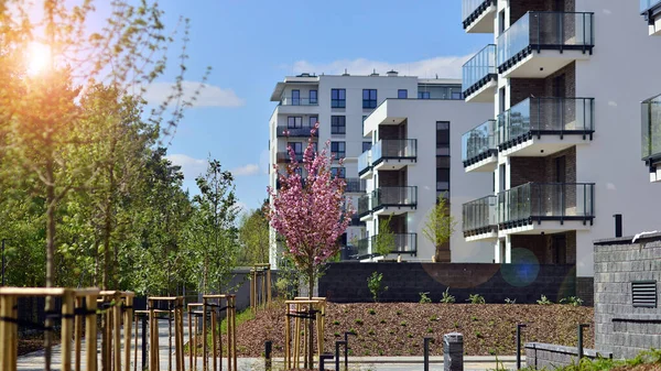 stock image Ecology and green living in city, urban environment concept. Modern apartment building and green trees. Ecological housing architecture. A modern residential building in the vicinity of trees.