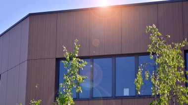 Modern ticari binanın güneş ışığıyla yansıması. Çevre mimarisi. Yeşil ağaç ve cam ofis binası. Doğanın ve modernliğin ahengi. 