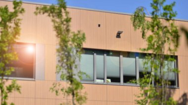 Modern ticari binanın güneş ışığıyla yansıması. Çevre mimarisi. Yeşil ağaç ve cam ofis binası. Doğanın ve modernliğin ahengi. 